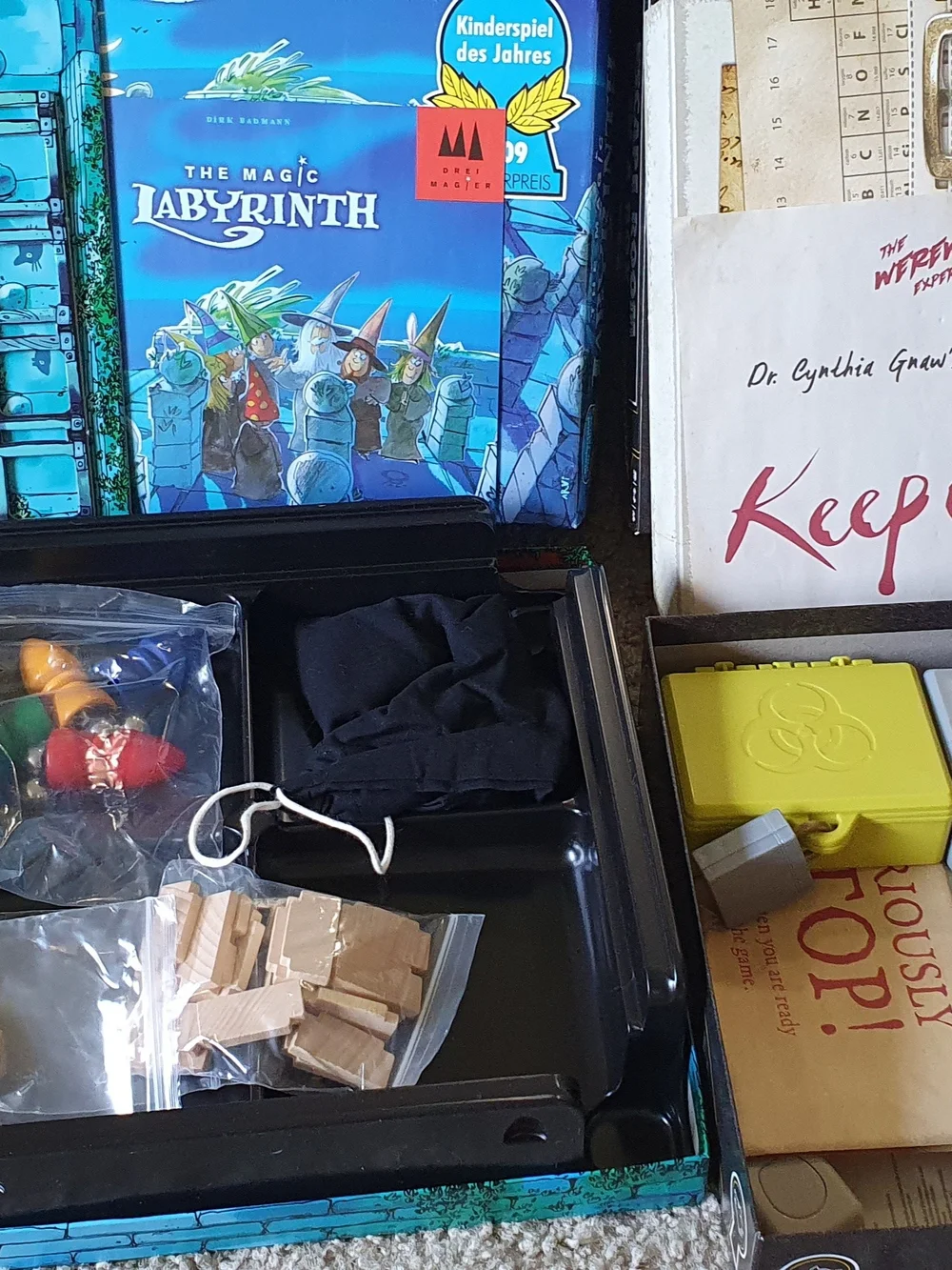 The Magic Labyrinth And Werewolf Experiment Board Games